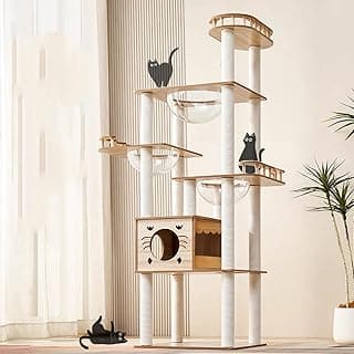 Animali Domestici
